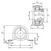 Bearing housed units PB12 INA #1 small image