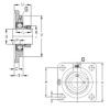 Bearing housed units PCF45 NKE #1 small image