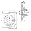 Bearing housed units PCFT17 INA #1 small image