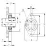 Bearing housed units PCFT25 NKE