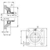 Bearing housed units PCJ15 NKE