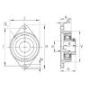 Bearing housed units PCJTY1-1/4 INA #1 small image