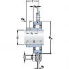 Bearing housed units PF 17 RM SKF #1 small image