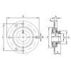 Bearing housed units RA25 INA