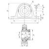 Bearing housed units RAK1-1/4 INA