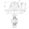 Bearing housed units RAKY2-7/16 INA