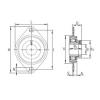 Bearing housed units RALT25 INA #1 small image