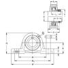 Bearing housed units RASE17 NKE