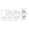 Bearing housed units RASEA25-N INA