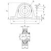 Bearing housed units RASEY1-1/8 INA #1 small image