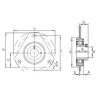 Bearing housed units RATRY35 INA