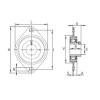 Bearing housed units RATY12 INA