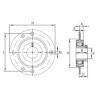 Bearing housed units RAY12 INA