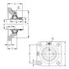 Bearing housed units RCJO35 NKE