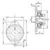 Bearing housed units RCJTA20-N INA