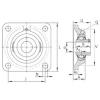 Bearing housed units RCJY1-1/2 INA