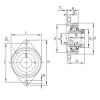 Bearing housed units RCJTZ20 INA #1 small image