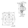 Bearing housed units RMEY25-N INA