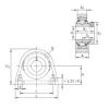 Bearing housed units RSHE20-N INA