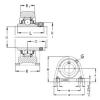 Bearing housed units RSHE55 NKE #1 small image