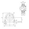 Bearing housed units RSHEY17 INA