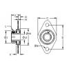 Bearing housed units S3PPB5ST AST