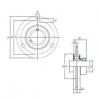 Bearing housed units SAPF203 KOYO #1 small image