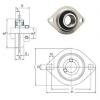 Bearing housed units SBPFL203 FYH #1 small image