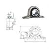 Bearing housed units SBPP204-12 FYH #1 small image