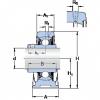 Bearing housed units SY 1. TF/AH SKF