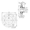 Bearing housed units TFE25 INA