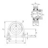 Bearing housed units TSHE25-N INA