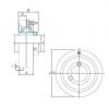 Bearing housed units UCC203 KOYO #1 small image