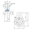 Bearing housed units UCECH204 NACHI