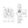 Bearing housed units UCFCX18 NACHI