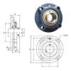 Bearing housed units UCFCX08-24 FYH #1 small image