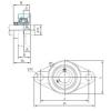 Bearing housed units UCFL203 NACHI #1 small image