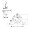 Bearing housed units UCIP313 NACHI