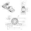 Bearing housed units UCP204 SNR