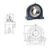 Bearing housed units UCPA203 FYH