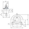 Bearing housed units UCPA203 NACHI