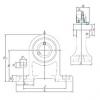 Bearing housed units UCPH206 KOYO #1 small image