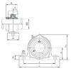 Bearing housed units UCPK314 NACHI #1 small image