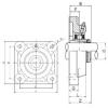 Bearing housed units UKF206 CX #1 small image