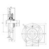 Bearing housed units UKFC209 ISO