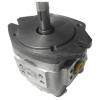 NACHI PVS Series Piston Pump PVD-0B-18P      