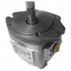 NACHI PVS Series Piston Pump PVD-1B-32P-11G5-4191A     #1 small image