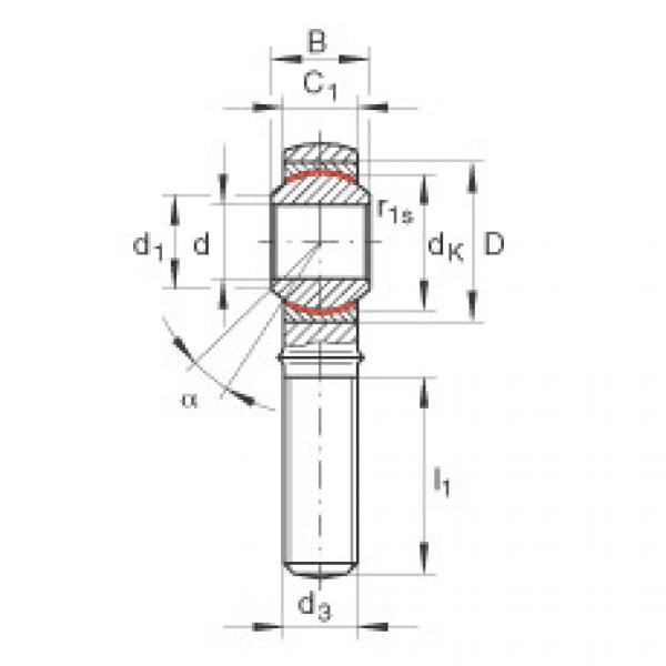 FAG 6203 bearing skf Rod ends - GAKL10-PW #4 image