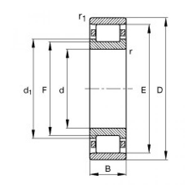 Cylindrical Roller Bearings N205-E-TVP2 FAG #1 image