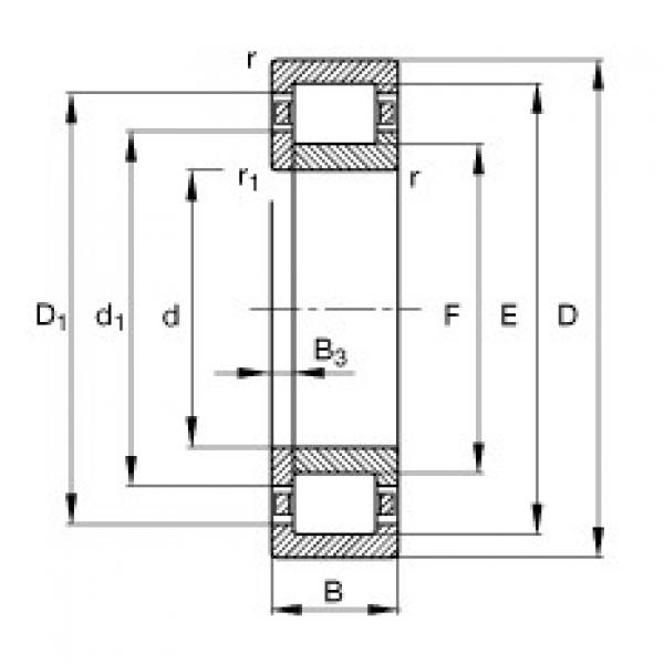 FAG bearing size chart nsk Cylindrical roller bearings - NUP221-E-XL-TVP2 #3 image